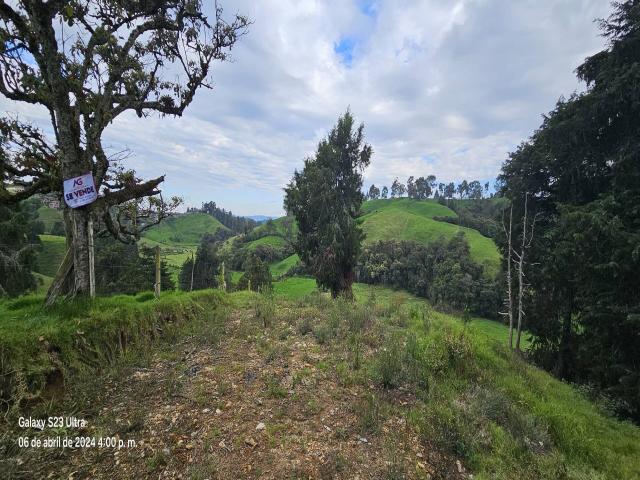 #11 - Lote para Venta en Bello - ANT - 1