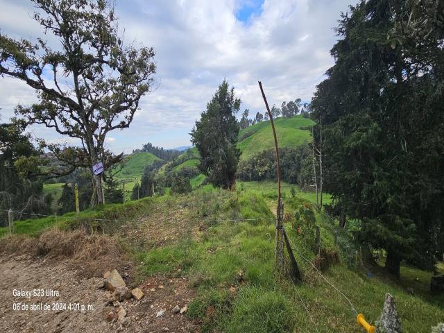 #11 - Lote para Venta en Bello - ANT - 3