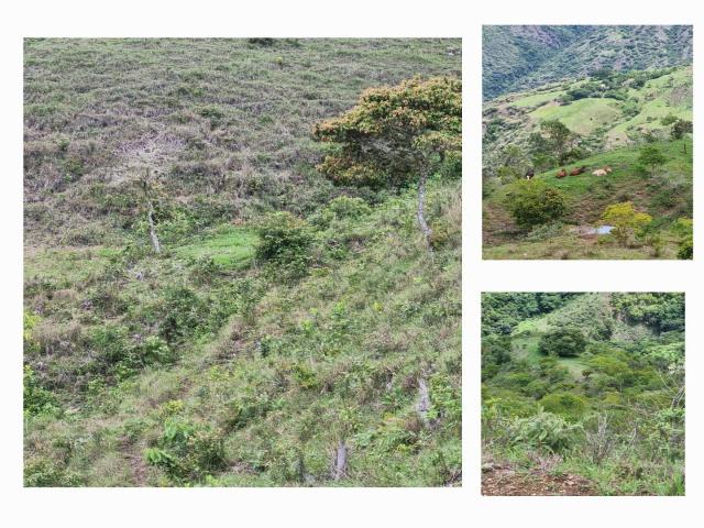 #17 - Lote para Venta en Santa Fe de Antioquia - ANT - 1